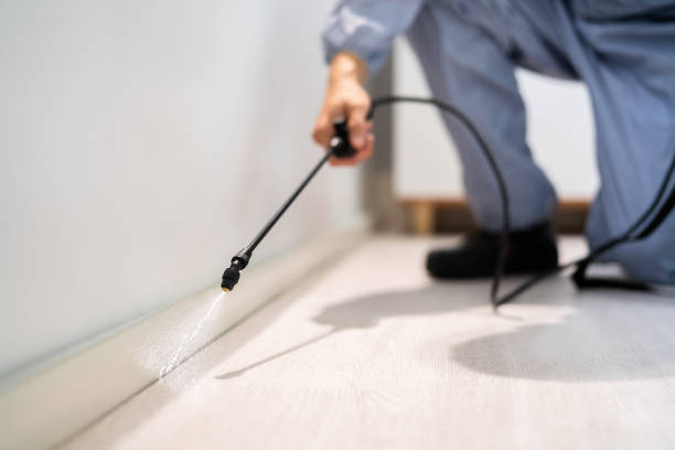Certified termite inspector examining foundation in Gulf Park Estates